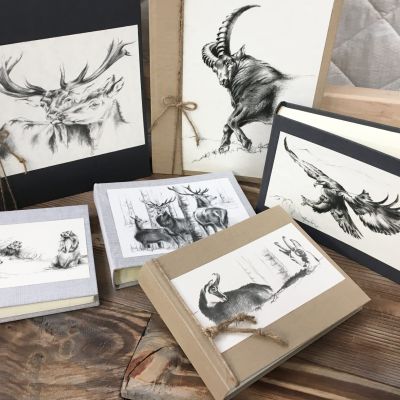Album foto grande angolo di Paola disegno animali vari e ungulati