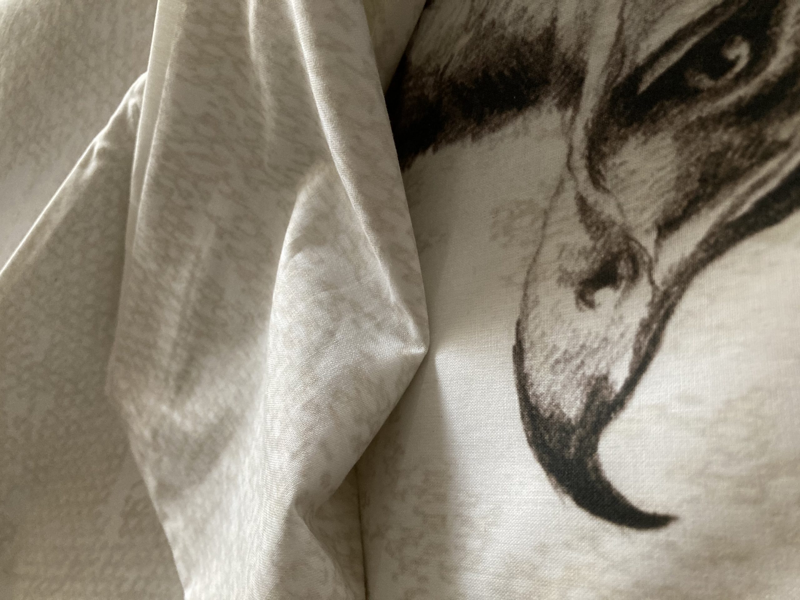 Angolo di Paola copripiumino disegno aquila